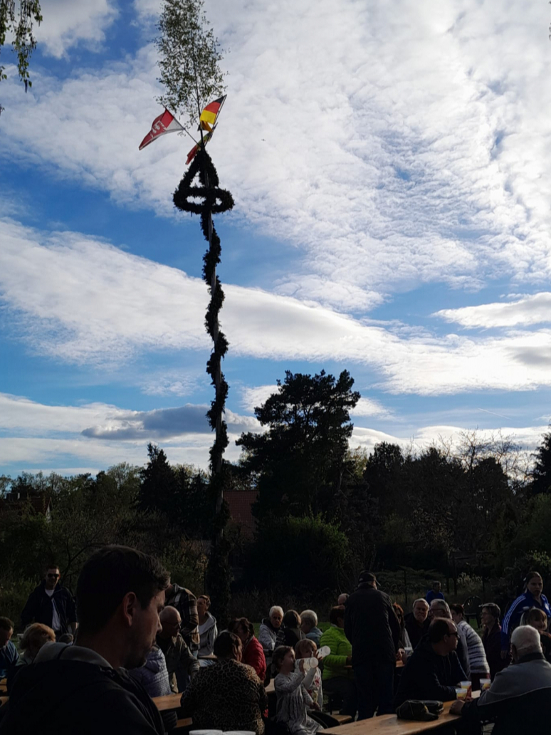 Maibaum