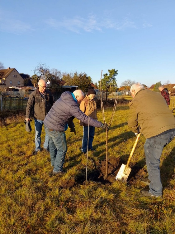 Eine Gruppe pflanzt einen Baum