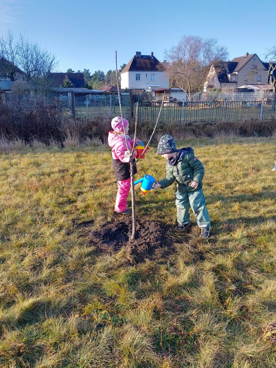 Zwei Kinder gießen einen Baum 